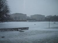 dogplaysinthesnowoutsidediealtepinothek